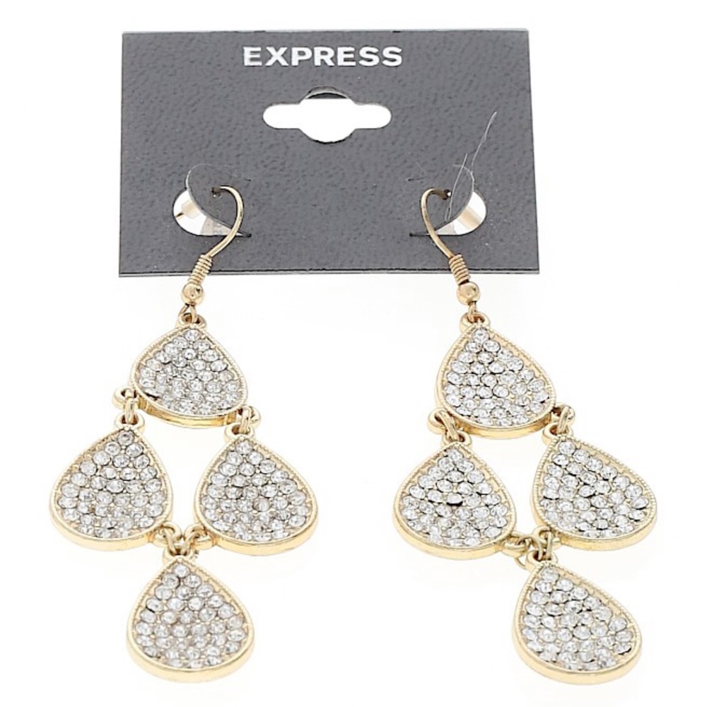 Express Earrings